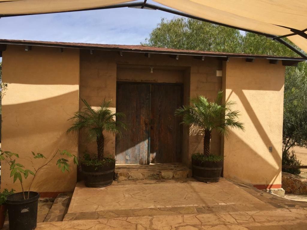 Guest House Nativo - Charming, Cozy & Affordable Valle de Guadalupe Εξωτερικό φωτογραφία
